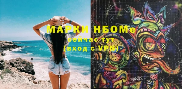 шишки Магас